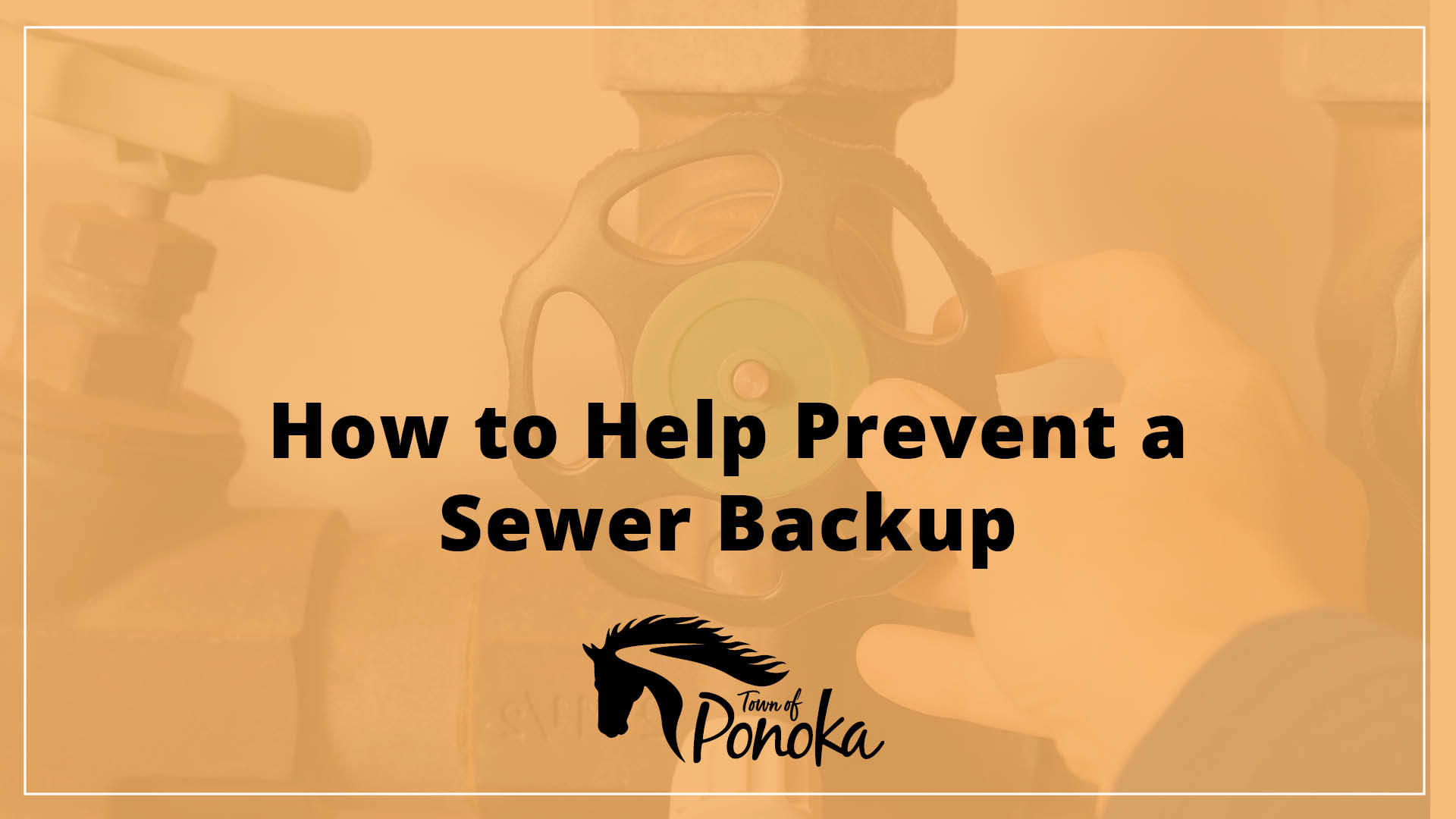 How to Help Prevent a Sewer Backup