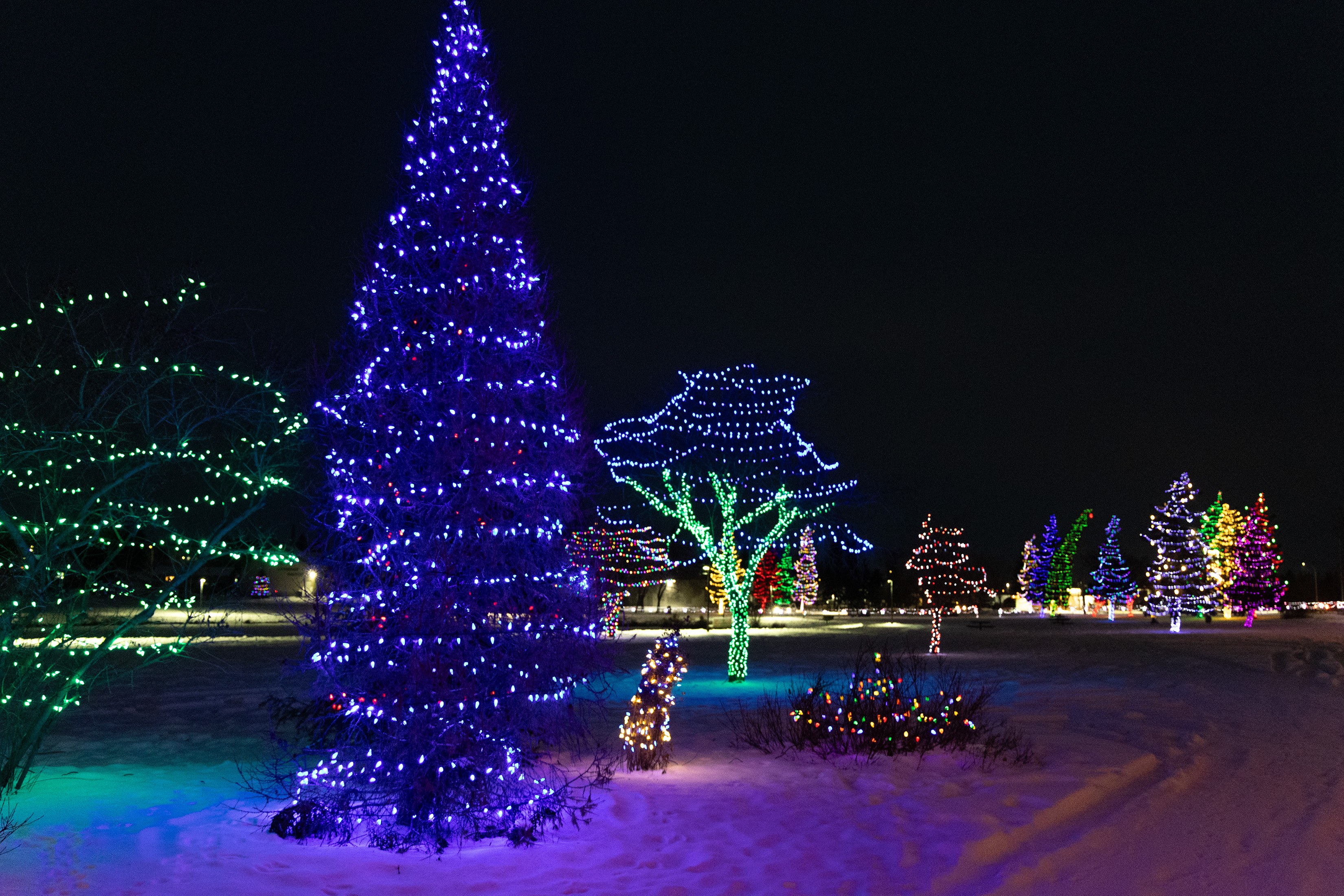 Holiday Light Display at Lions Centennial Park